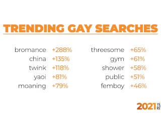 Pornhub's 2021 Year In Review: The Searches that Defined the_year with_Aria