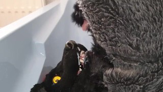 Murrsuiter Pisses On Himself And Inside His Maw In Order To Get A Good Drink Then Cum Inside