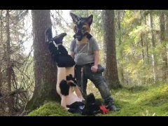 Furry Pee Videos and Gay Porn Movies :: PornMD