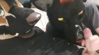 Cumming Murrsuiter Stomps On My Wolf's Muzzle Three Times