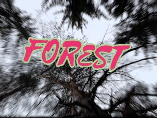 Winter Forest 2