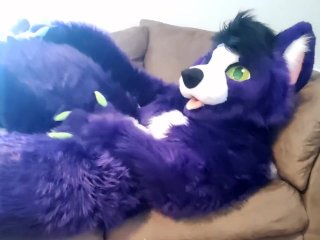 A Little Alone Time - Solo Fursuit Petting and_Rubbing - Solo Female - Low_Volume