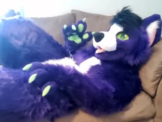 A Little Alone Time - Solo Fursuit Petting andRubbing - Solo Female - Low Volume