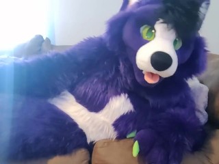 A Little Alone Time - Solo Fursuit Petting and_Rubbing - Solo Female - Low Volume