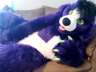 A Little Alone_Time - Solo Fursuit Petting and Rubbing - Solo Female - Low Volume