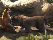 Furry Wolf Oral Sex - Wolf Giving Fox Blowjob HD by H0rs3 - Pornhub.com