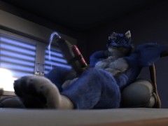 Wolf playing vibrator in his new Bedroom HD by h0rs3