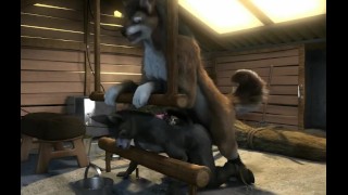In Stable HD By H0Rs3 A Wolf Hump A Tied Donkey