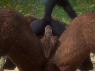 Minotaur Cums Huge Load Inside Wolf Male (Gay Mating) Wild Life Furry