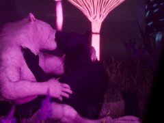 Gay Furry Synth Lovers | Lion & Wolf | Wild Life Furries