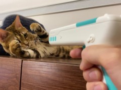 If you use a massage gun on Pussy