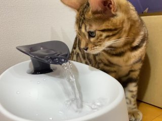 Pussy Gets Soaked By Her First Toy…