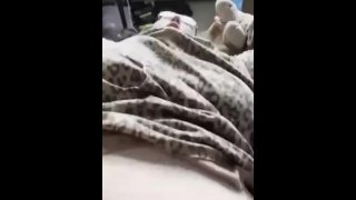 Phat Pussy So Wet
