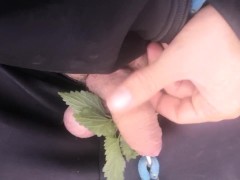 Nettles on the my penis and bondage