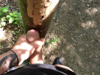 Cumshot On 'Cum Here' Tree, Showing Cum Close Up And Piss At A Cruising Area