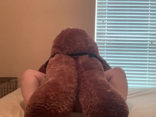BBW getting pounded by stuffed_animal