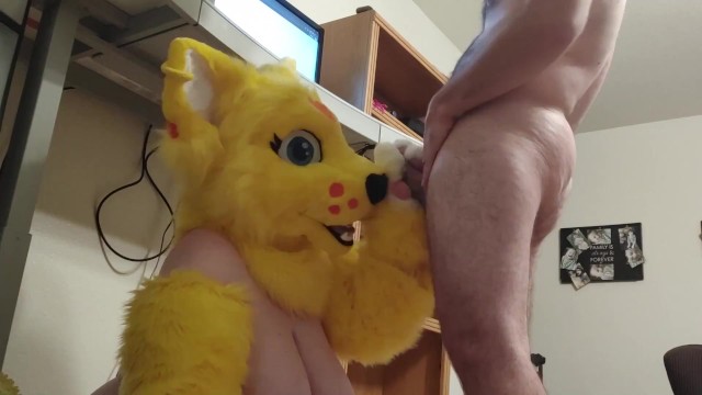 Mother Furry Kitty Porn - Kitty Mama Al Maestro Mientras Trabaja - Pornhub.com