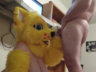 Kitty Blows Master While Working
