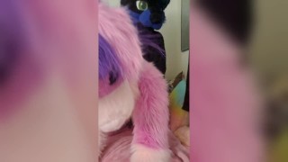 Yiff Cuddles Between Cat And Dog