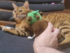 Pussy playing with dolls. She feels good while sucking the doll. masturbation