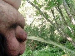 Fat man pissing with small uncut cock clear piss