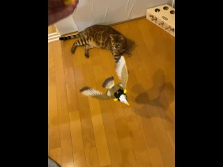 Redhead Plays With Pussy Toy In The Room