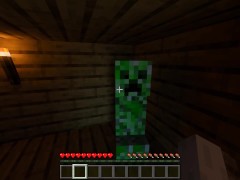 Getting Fucked by a Creeper in Minecraft 12: Beach House