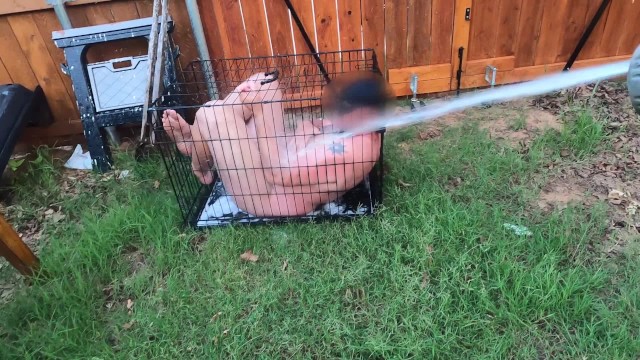 Femdom Wife Humiliates Small Penis Husband Hoses him like a Zoo Animal in a  Dog Cage - Pornhub.com