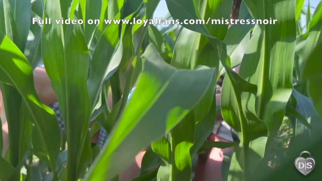 Cute girl gets DEEPLY FUCKED AND FISTED (Outdoor fuck in a cornfield).