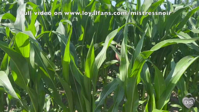 Cute girl gets DEEPLY FUCKED AND FISTED (Outdoor fuck in a cornfield).