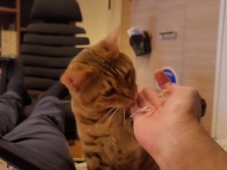 Hot kitty sucks deliciously on you … . Pussy eating while staring at you