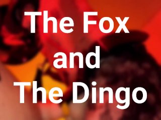 The Fox And The Dingo