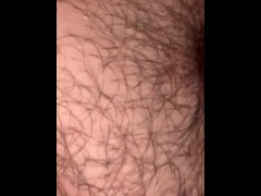 Hairy fat pussy