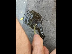 Another piss in the park