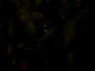 Indonesia PornAnswer Videos on PornAnswer.com