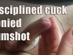 Disciplined cuck denied cumshot
