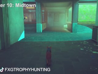 Sneakitty - Stray - Trophy / Achievement Guide