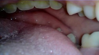 Prey's Point Of View From Inside My Mouth