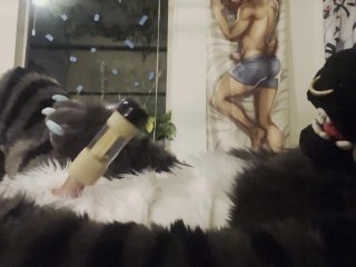 Fursuiter Cums Using Venus 2000 Milking Machine