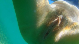 Naked Swimming And Underwater Close-Up PEE