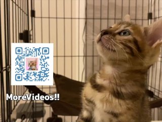 You Don't Need Any Special Technique To Make Your Pussy Happy. We Will Teach You How To Make Your Ki