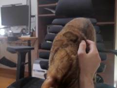 When you pet the furry pussy