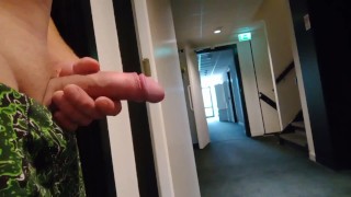 Dick Flash JERKING IN THE PUBLIC HALLWAY OF A HOTEL AND WATCHING PORN DICKFLASH