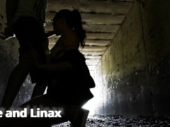 REAL PUBLIC SEX (sex in a tunnel under the highway)