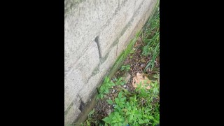 Jakol Jakol Outdoor Sa Kalsada Tabi Tuloy Lang Kahit Musk_Man Nakakita