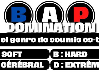 Découvre Quel Soumis Tu Es! Soft / Hard / Cérébral / Sm / Extrême [ Audio Porno Fr ]