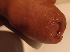 Close up pee. Uncut foreskin 