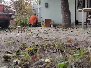 Autumn In The Yard