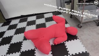 Latex Puppy Forever Final Episode Moring Puppy