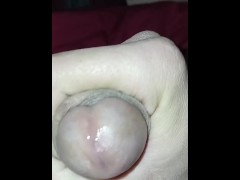 my pre cum from jerking with daddys online